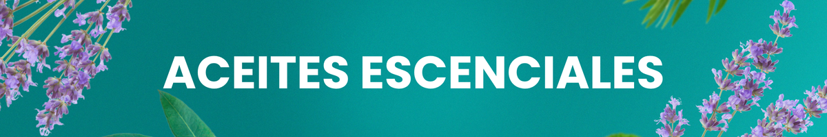 Banner de la sección